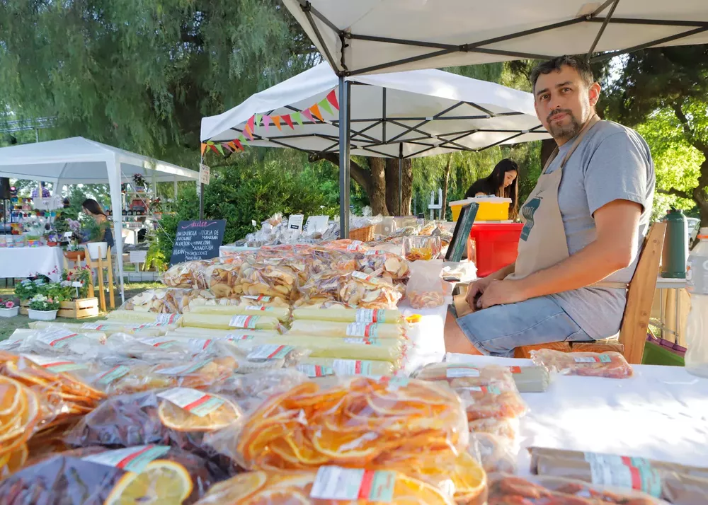 Maipu Incuba 2023 Stevanato 3